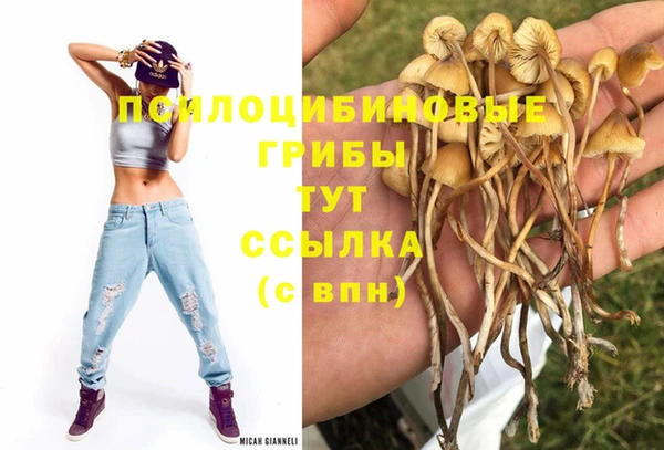 экстази Алексеевка