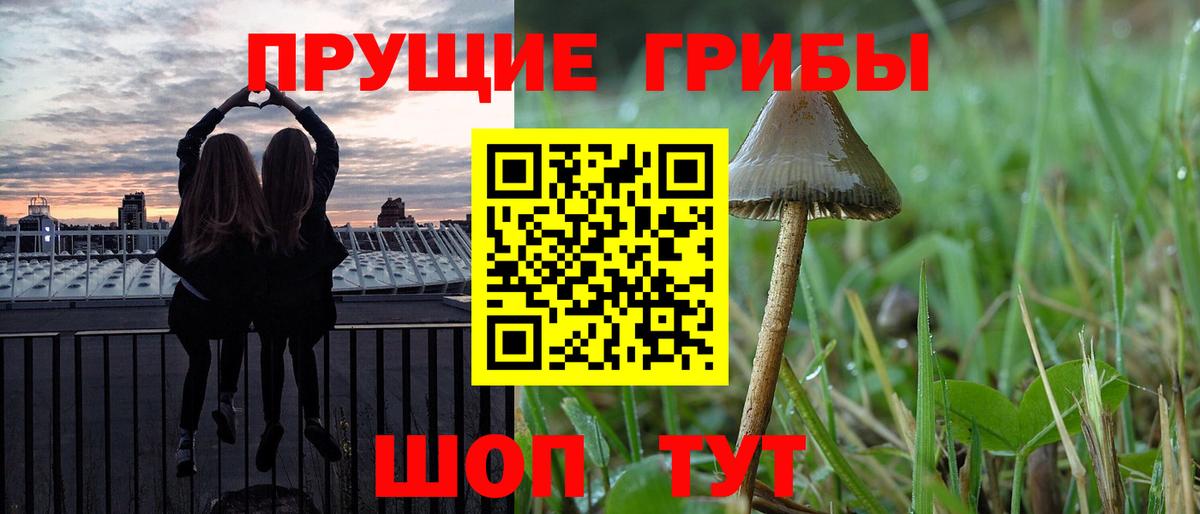 Кропоткин  как найти закладки  Вход с VPN  Галлюциногенные грибы мицелий 